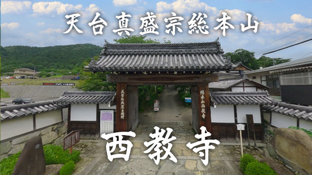 西教寺 FPV空撮 サムネイル